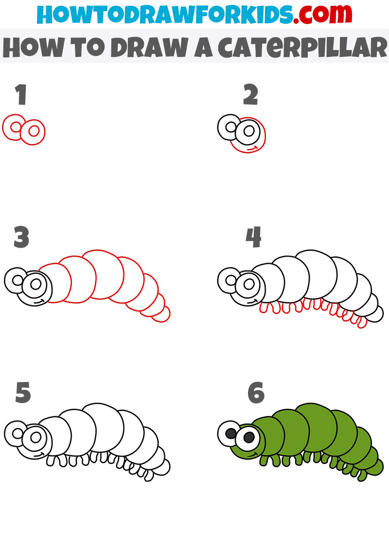 How to Draw a Caterpillar for Kids