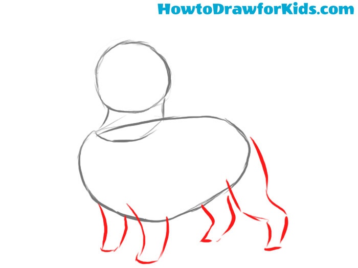 Draw the dog limbs