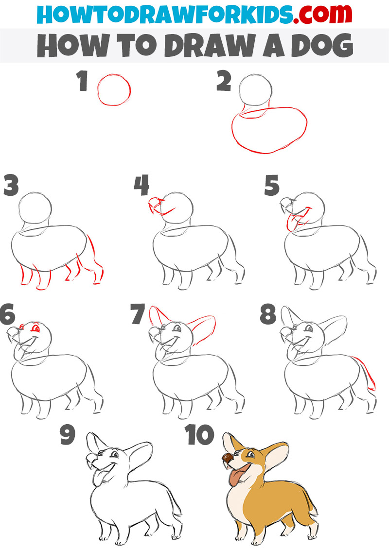 how to draw a dog step-by-step
