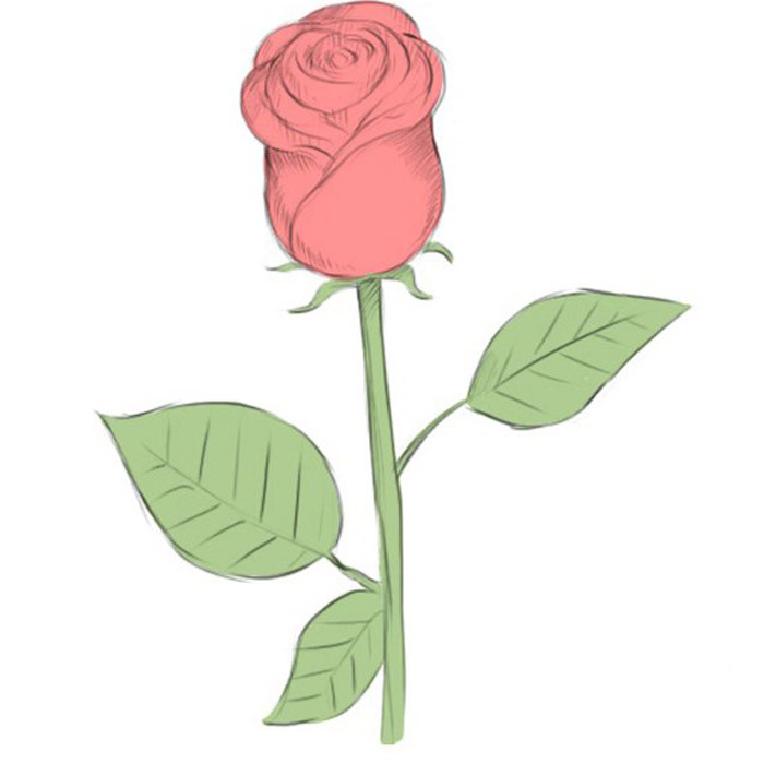 How to Draw a Rose Easy -Drawing Tutorial For kids