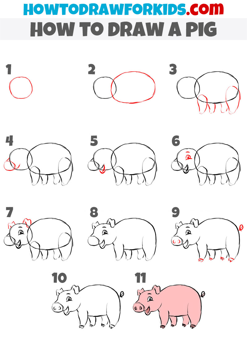 how to draw a pig