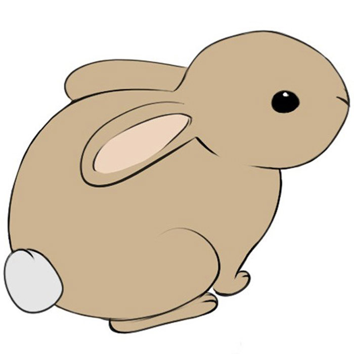 Bunny Rabbit Drawing For Children