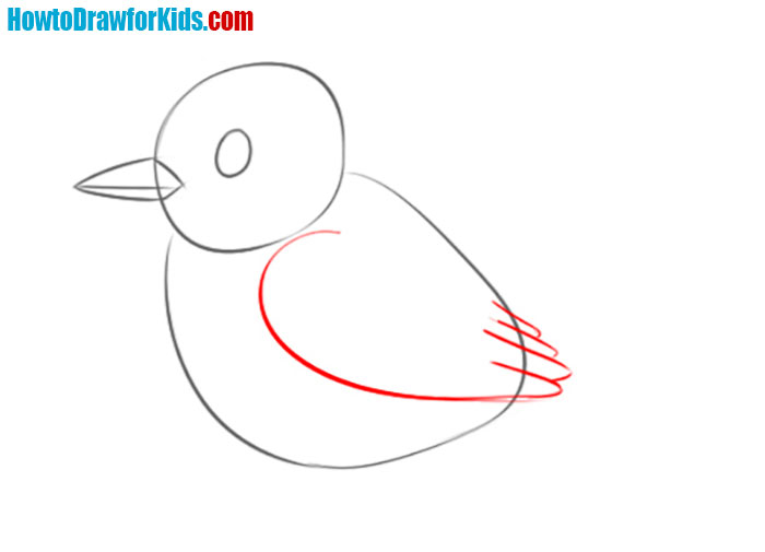 How to Draw a Sparrow for Kids