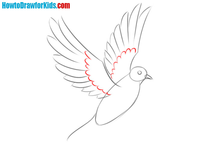 How to draw a dove for beginners