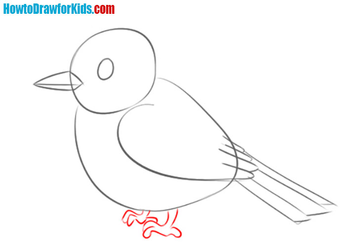 how to draw a sparrow easy