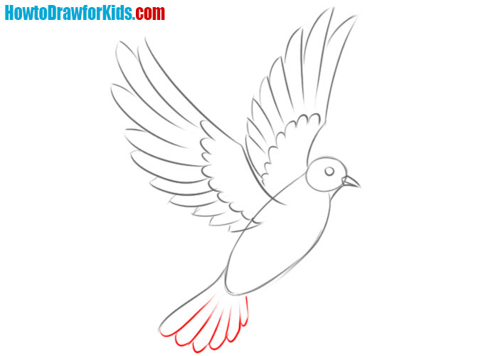 How to draw a dove step by step