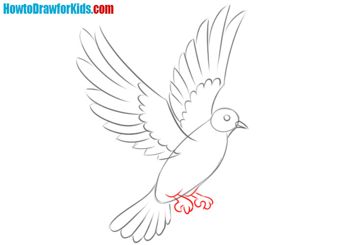 How to draw a dove cartoon