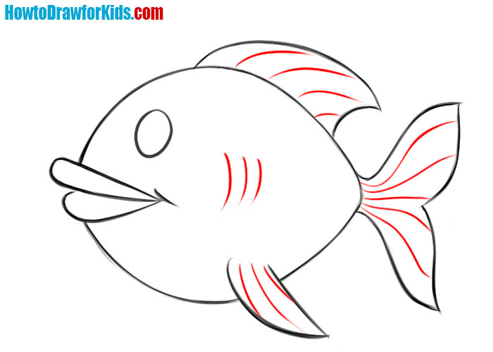 drawing the gills and detailing the fins