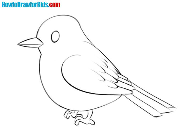 How to Draw a Sparrow for Kids