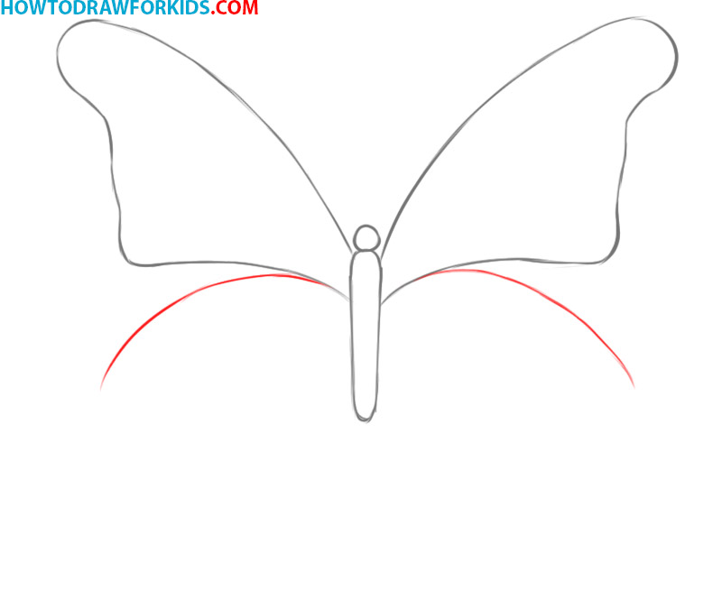 How to Draw a Butterfly for beginners