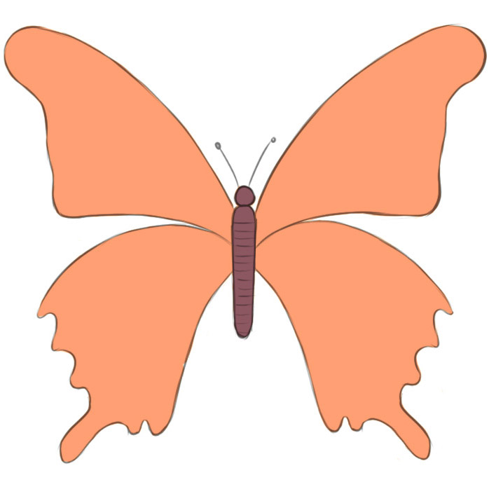 Drawing Cute Butterfly at George Grubbs blog