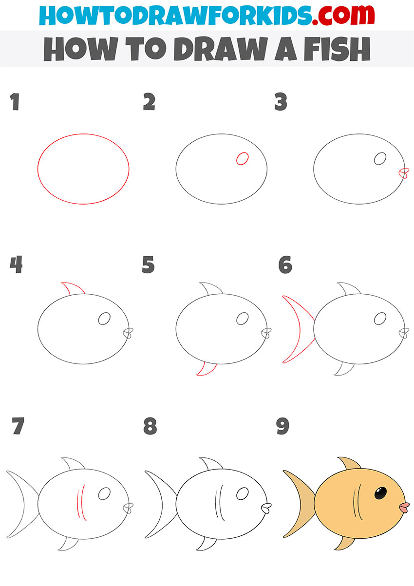 Fish with rounded body drawing tutorial