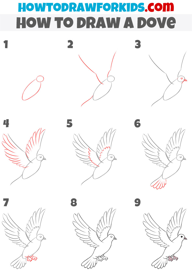 How to draw a dove step by step