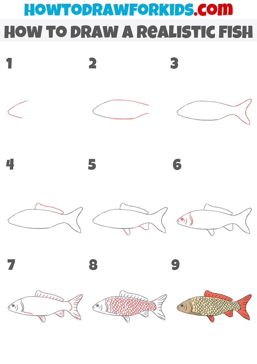 Realistic fish drawing tutorial