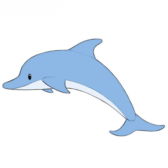 Dolphin Drawings For Kids