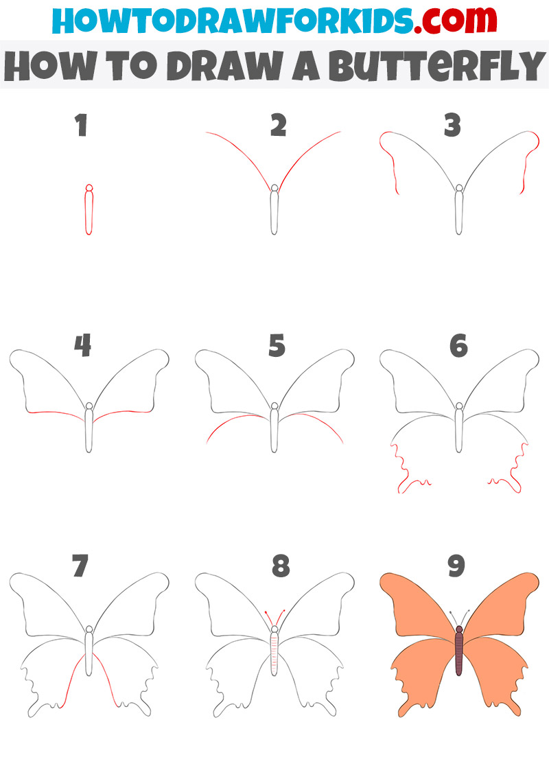 how to draw butterflies step by step for kids