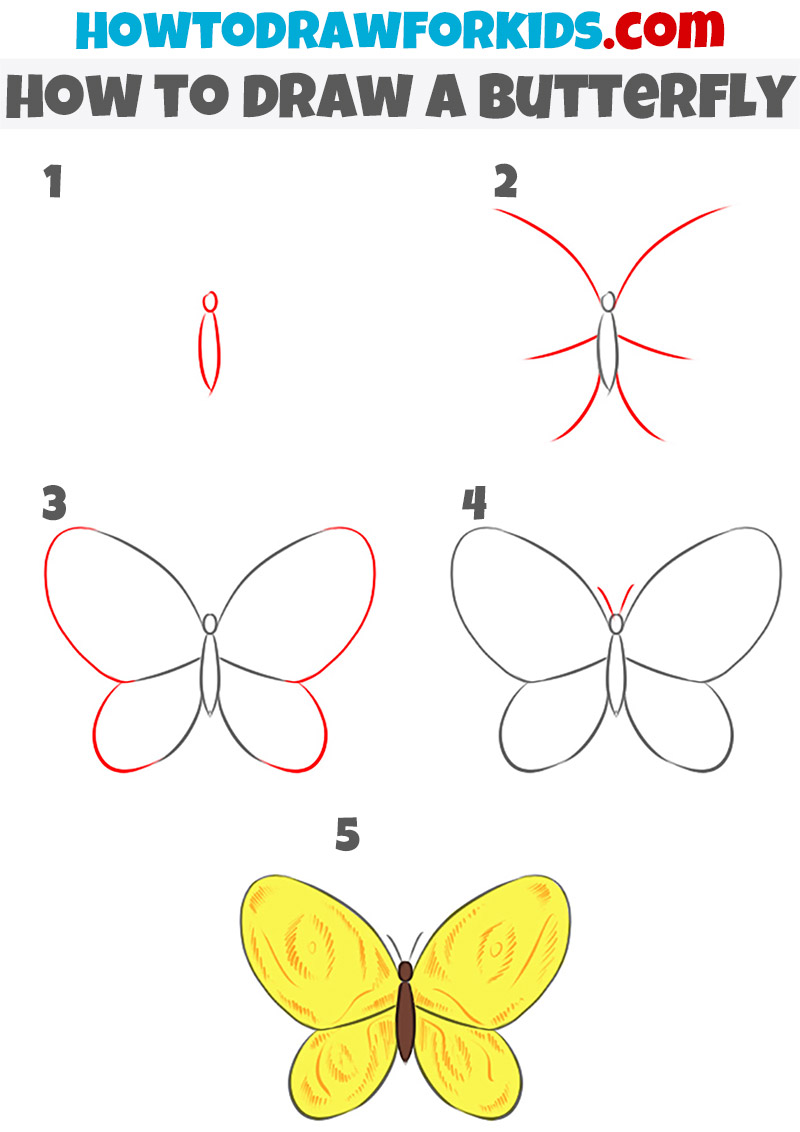 how to draw butterflies step by step for kids