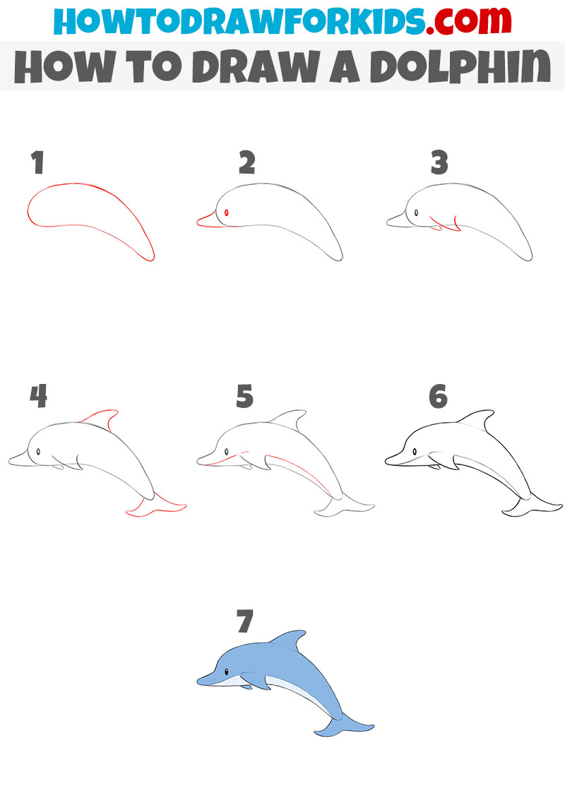 how to draw a dolphin