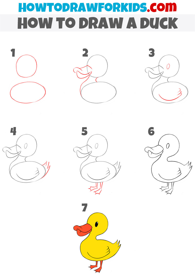 How to draw a cartoon duck | Step by step Drawing tutorials