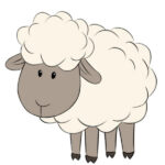 How to Draw a Sheep for Kids