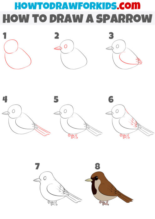 How to Draw a Sparrow - Easy Drawing Tutorial For Kids