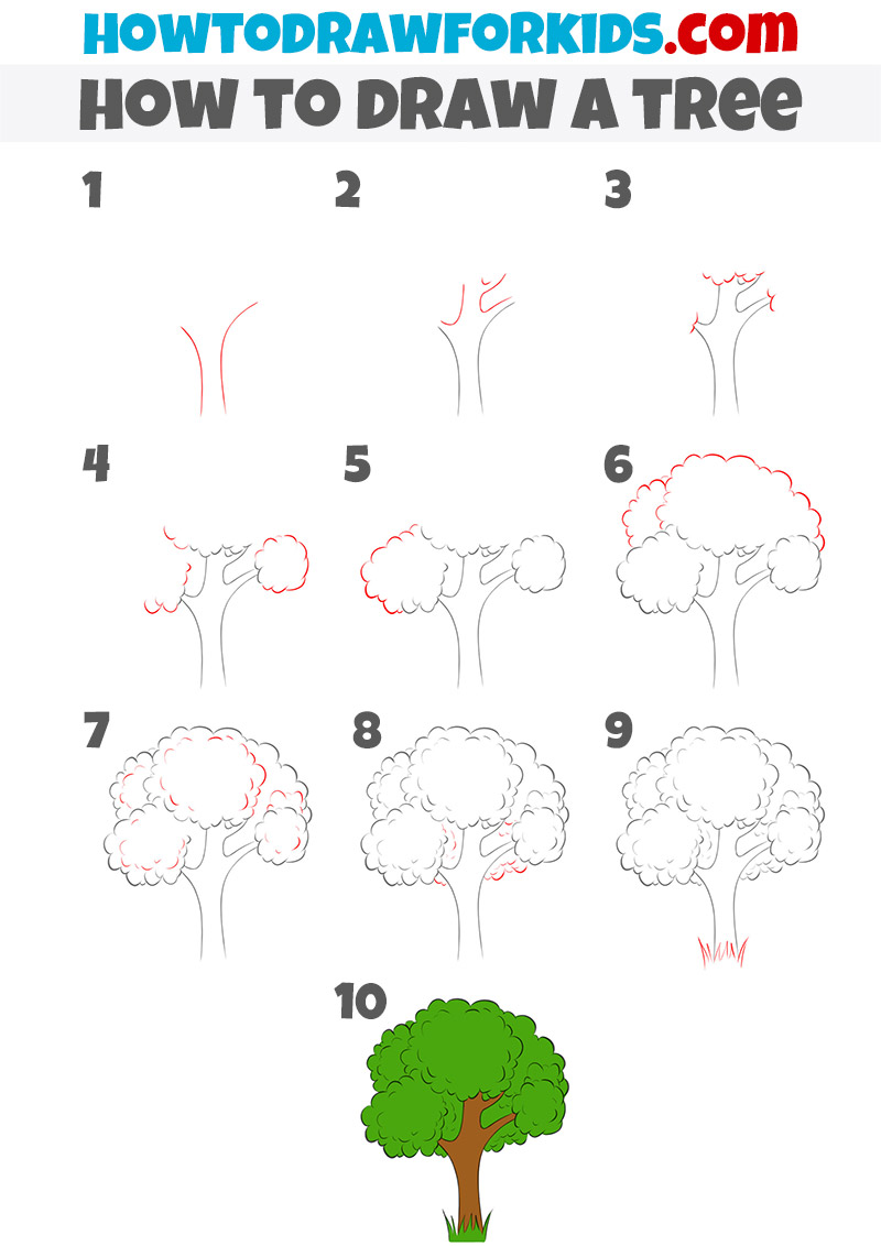 how to draw a tree step by step