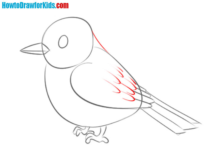 sparrow drawing tutorial