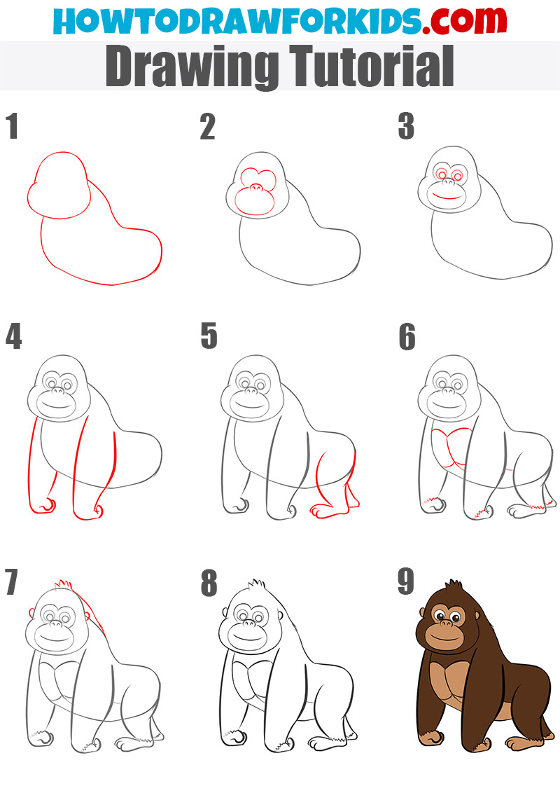 How to draw a gorilla for kids - step by step drawing tutorial