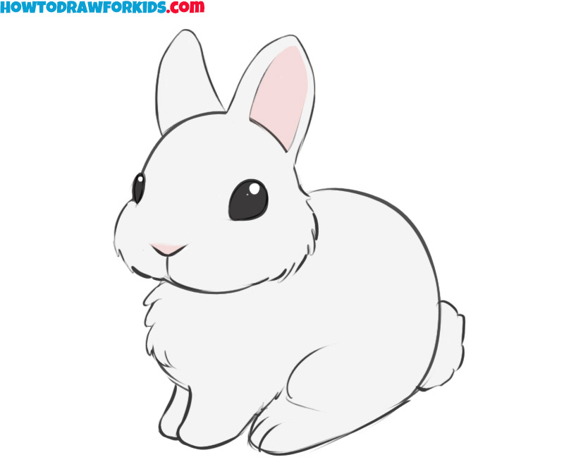 1792 Dog Cat Rabbit Line Drawing Images Stock Photos  Vectors   Shutterstock