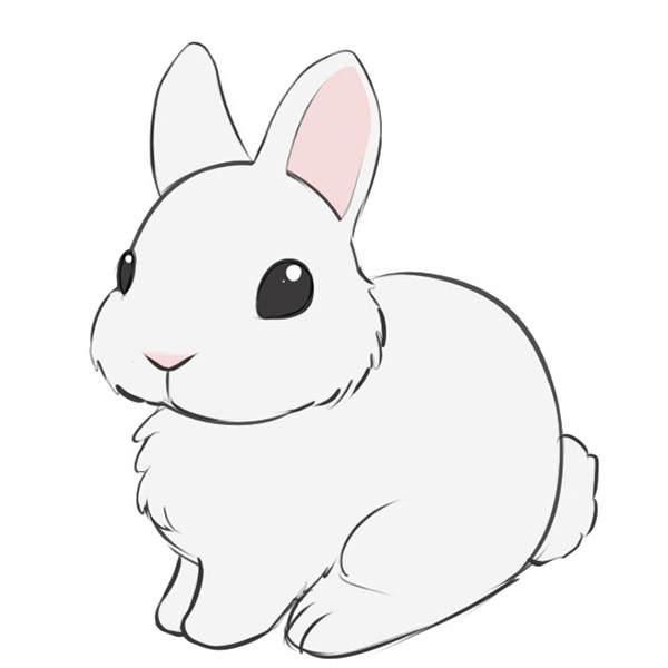 How to Draw a Bunny - An Easy Cartoon Bunny Drawing-nextbuild.com.vn