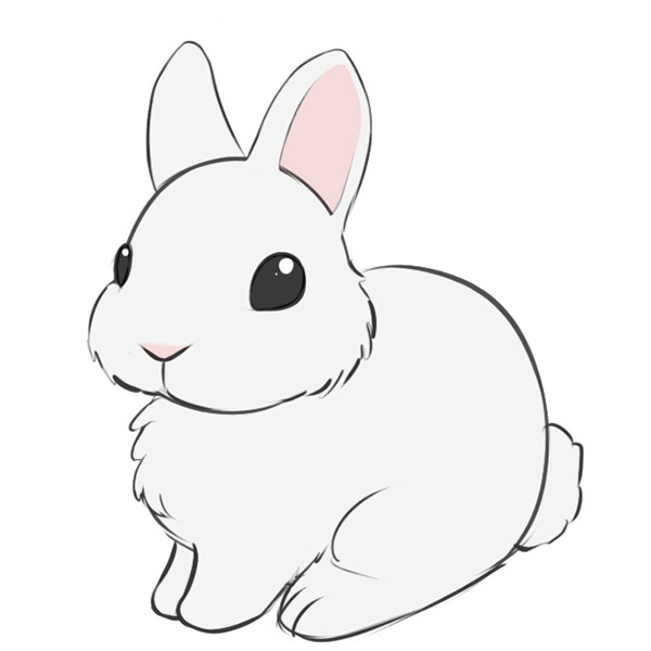 How to Draw a Bunny