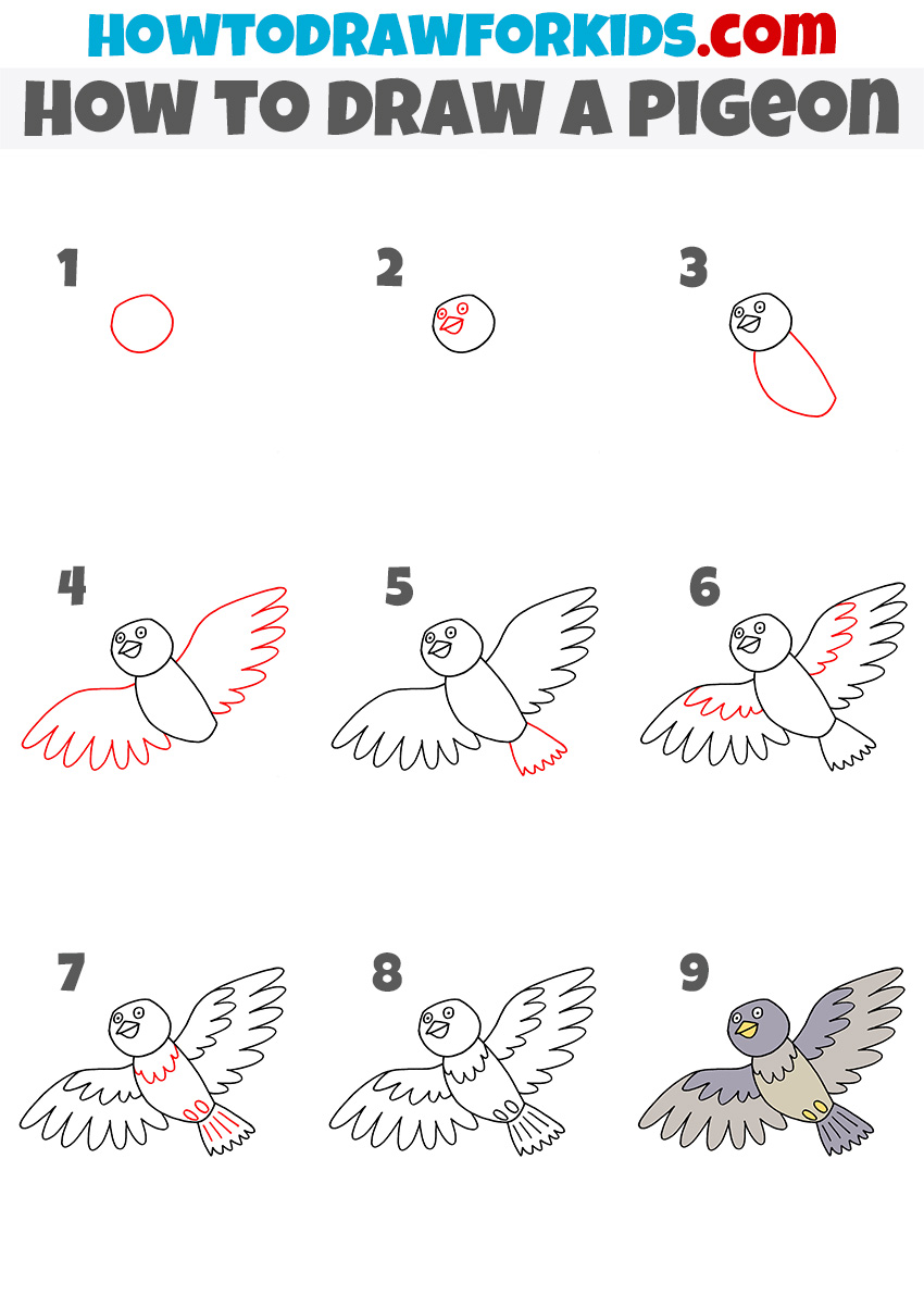 How to draw a pigeon step by step tutorial