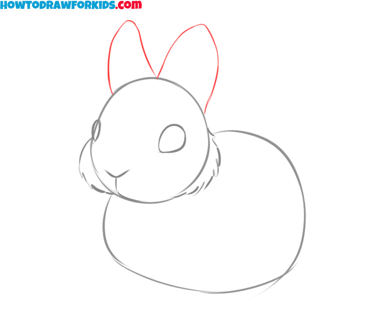 bunny drawing tutorial easy