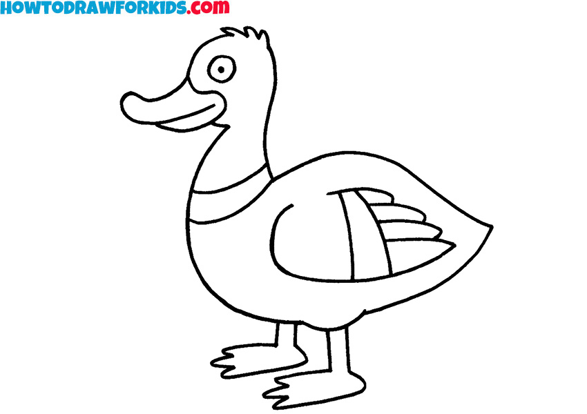 8 duck drawing