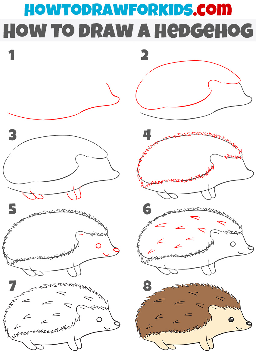 Hedgehog alternative drawing tutorial