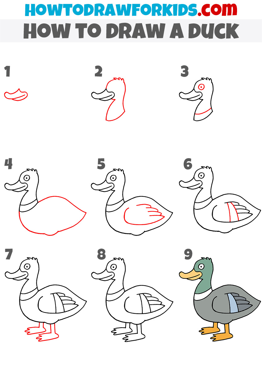 Line drawing of duck -simple Royalty Free Vector Image