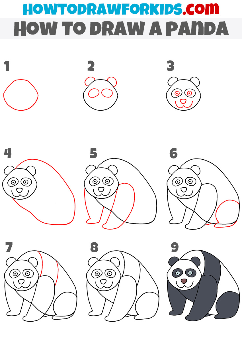 panda step by step drawing lesson
