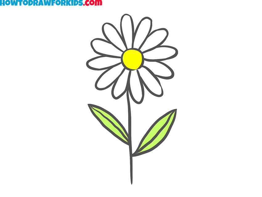 how to draw a chamomile