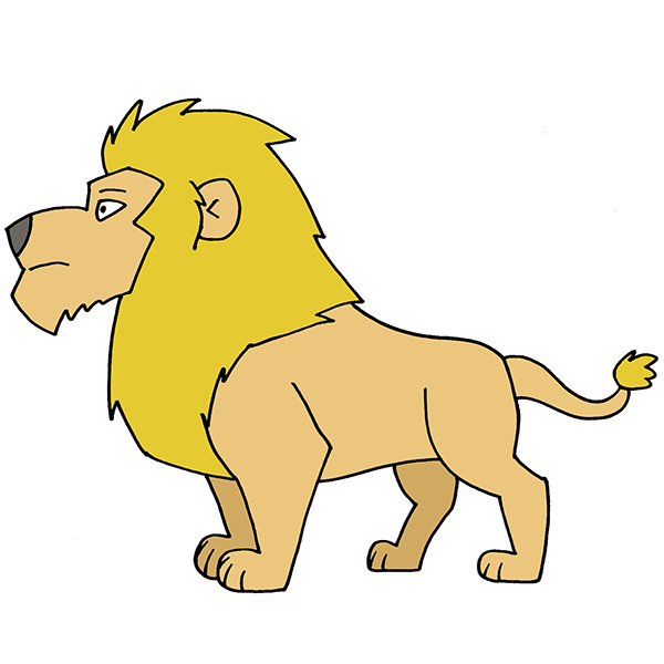 25 Easy Lion Drawing Ideas - How to Draw a Lion