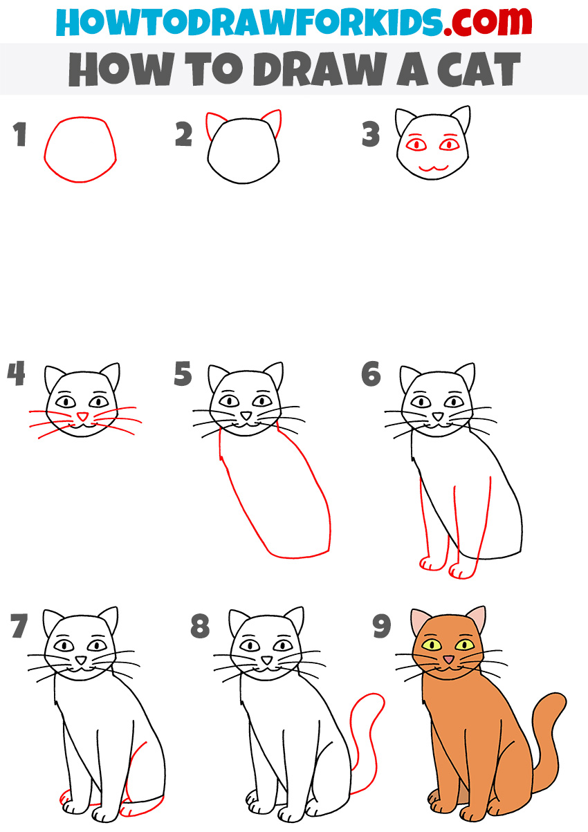 easy cat drawings steps