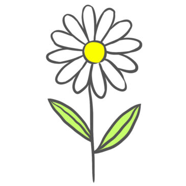 How to Draw a Chamomile