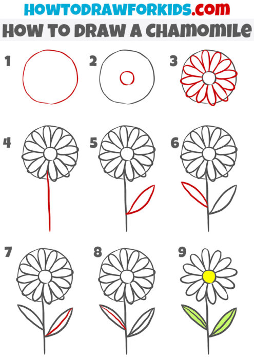 How to Draw a Chamomile - Easy Drawing Tutorial For Kids