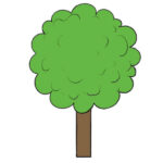 How to Draw a Tree for Kindergarten