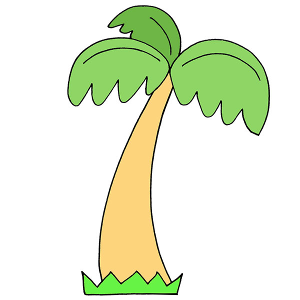 How to Draw a Palm Tree - Easy Drawing Tutorial For Kids