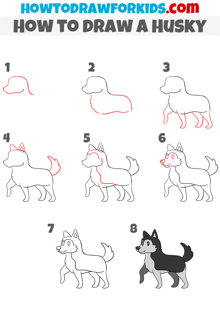 How to draw a Husky step by step