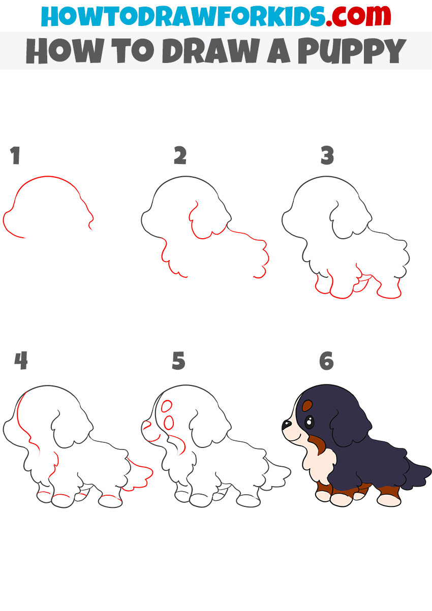 How to draw a Puppy step by step