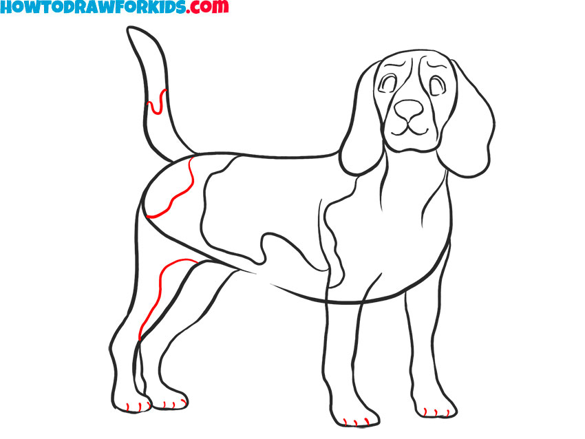 How to draw a Realistic Dog quickly