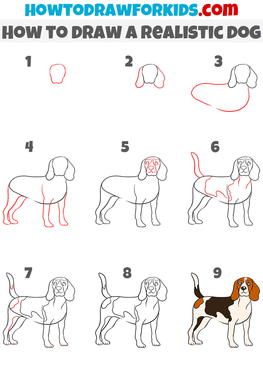 how to draw a dog step by step