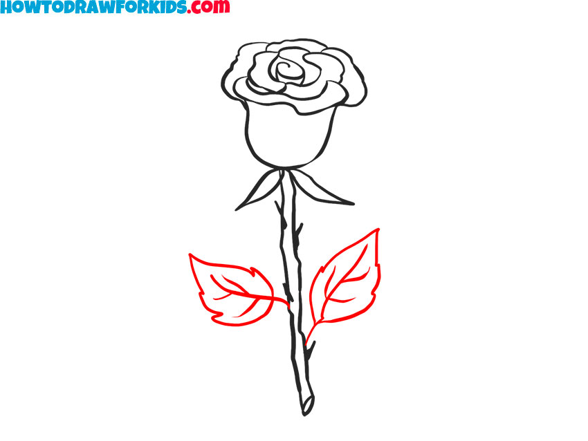 How to draw a Realistic Rose easy