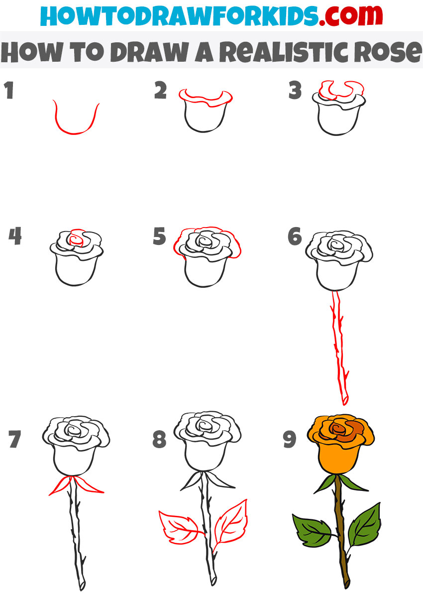 How to draw a Realistic Rose step by step